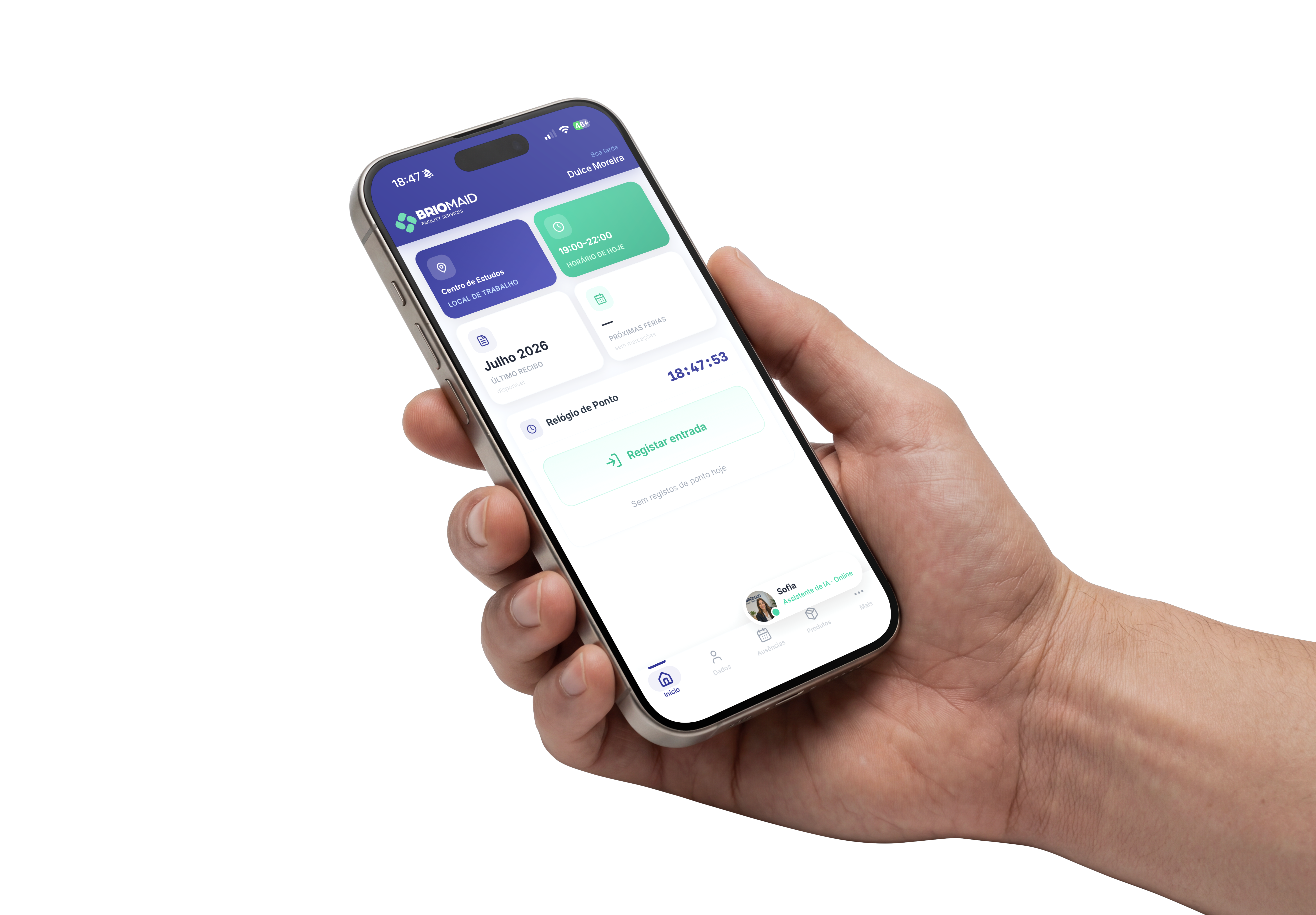 Hub Briomaid – Portal do Colaborador